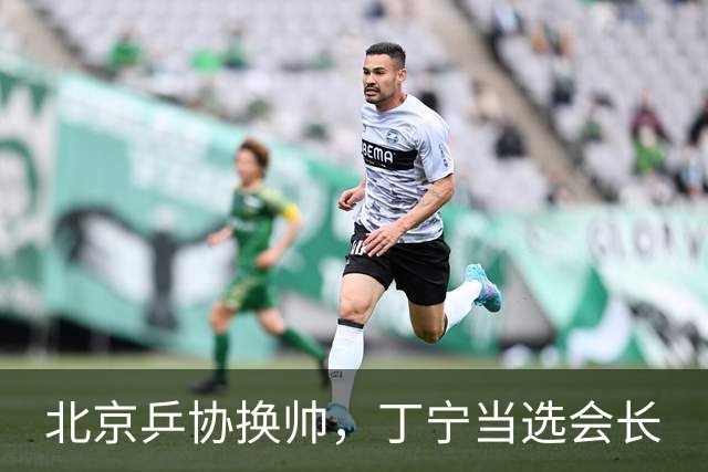 北京乒协换帅，丁宁当选会长