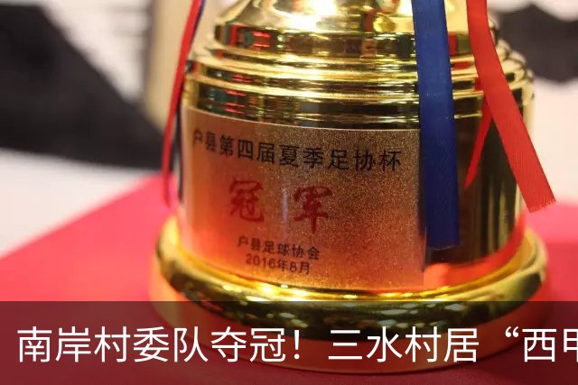 南岸村委队夺冠！三水村居“西甲”燃情落幕